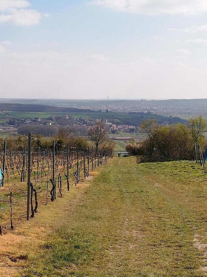 Ferienwohnung Moritzwiese Naumburg  Zewnętrze zdjęcie